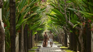 Una pareja camina por un sendero bordeado de palmeras y plantas tropicales.