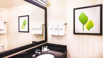 A bathroom with a black countertop, a white sink, and a large mirror. There are two framed leaf paintings on the wall.