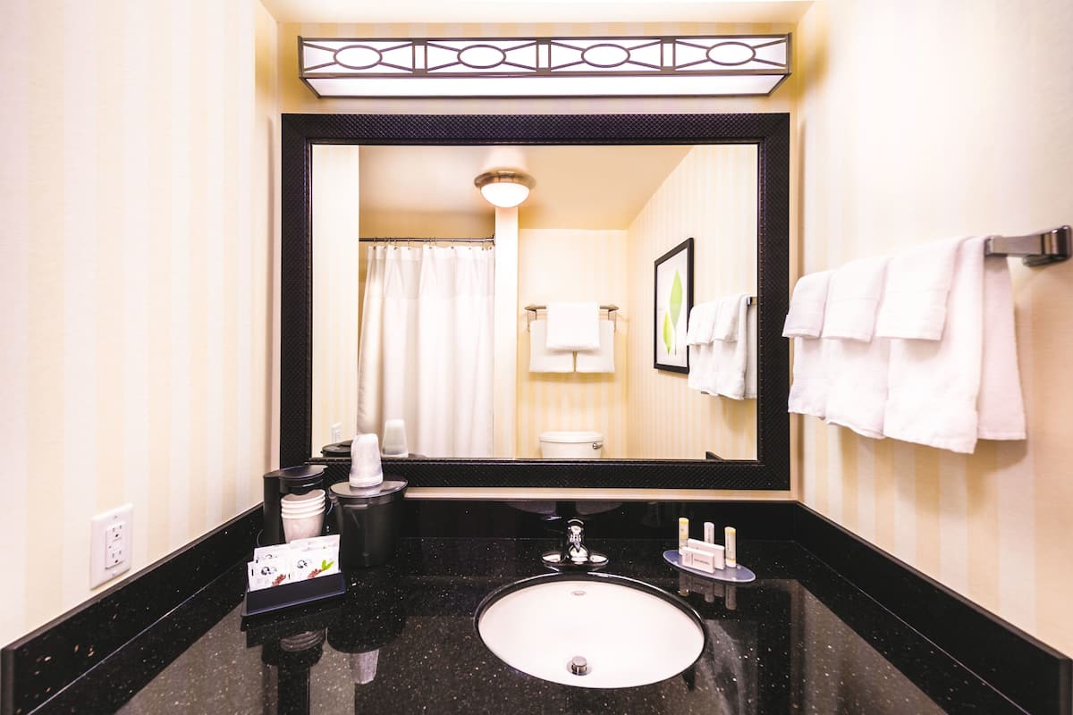 combined shower/bathtub, free toiletries, hair dryer, towels