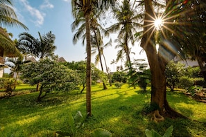 A lush garden with palm trees and a clear sky. - Turaco Nungwi Resort, a Tribute Portfolio Hotel (Nungwi)