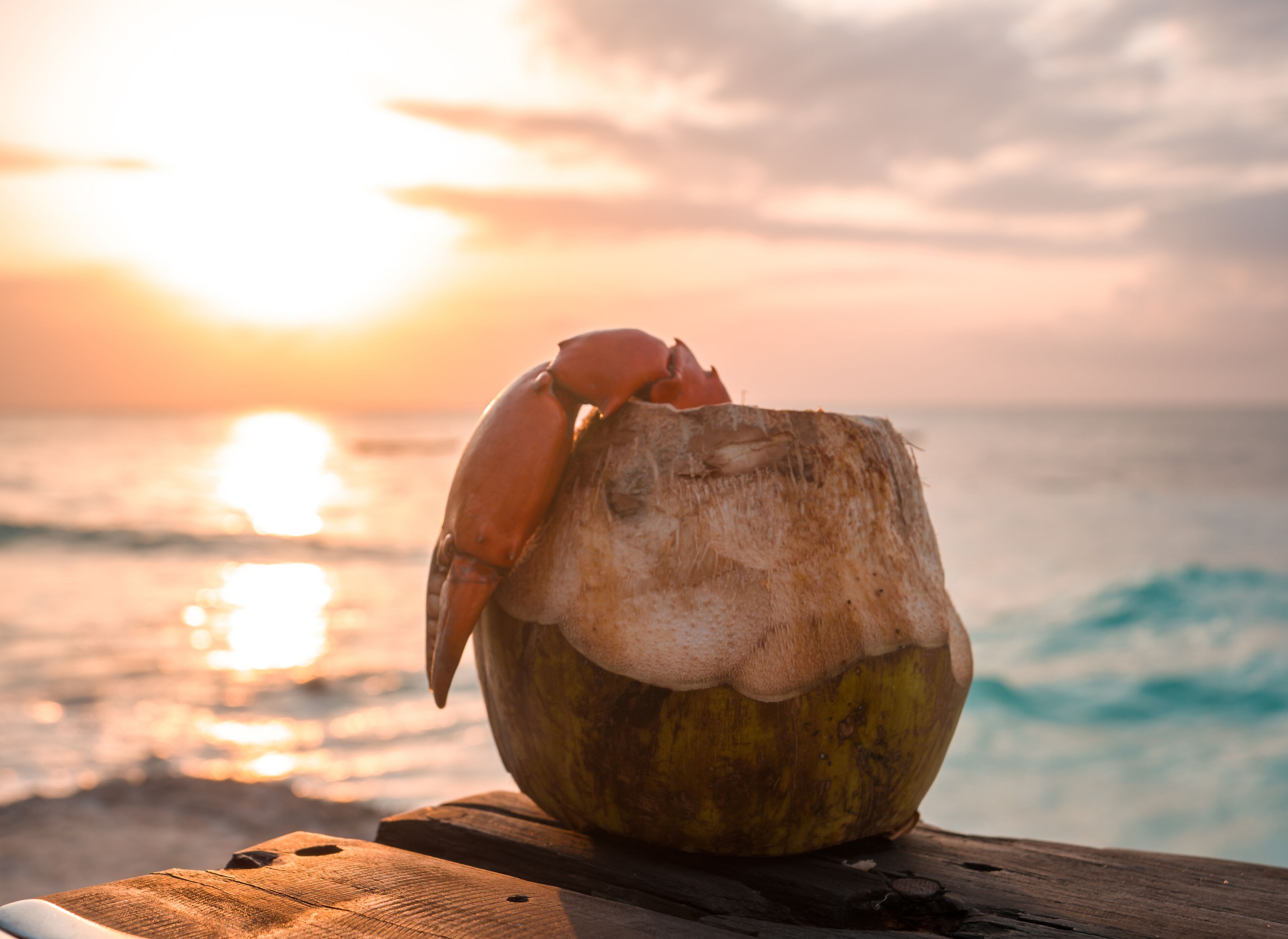 2 restaurants, breakfast, lunch, dinner served; international cuisine