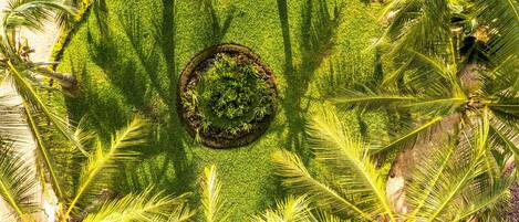 Vista aérea de un jardín circular con palmeras y una zona central también circular, con plantas.