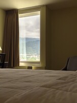 Habitación estándar, 1 cama de matrimonio | Vistas desde la habitación