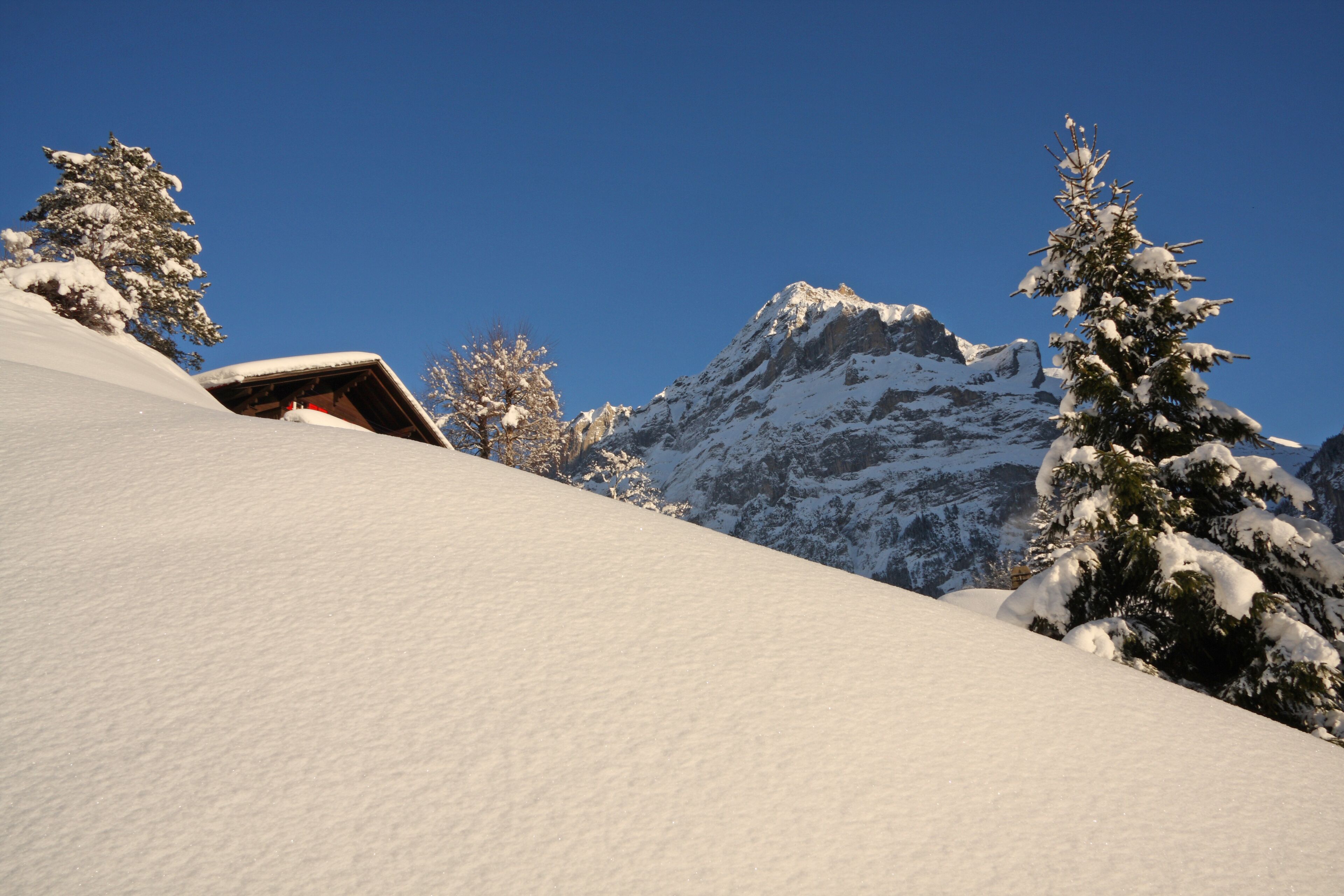 Une montagne enneigée, avec un chalet en bois et des arbres chargés de neige.