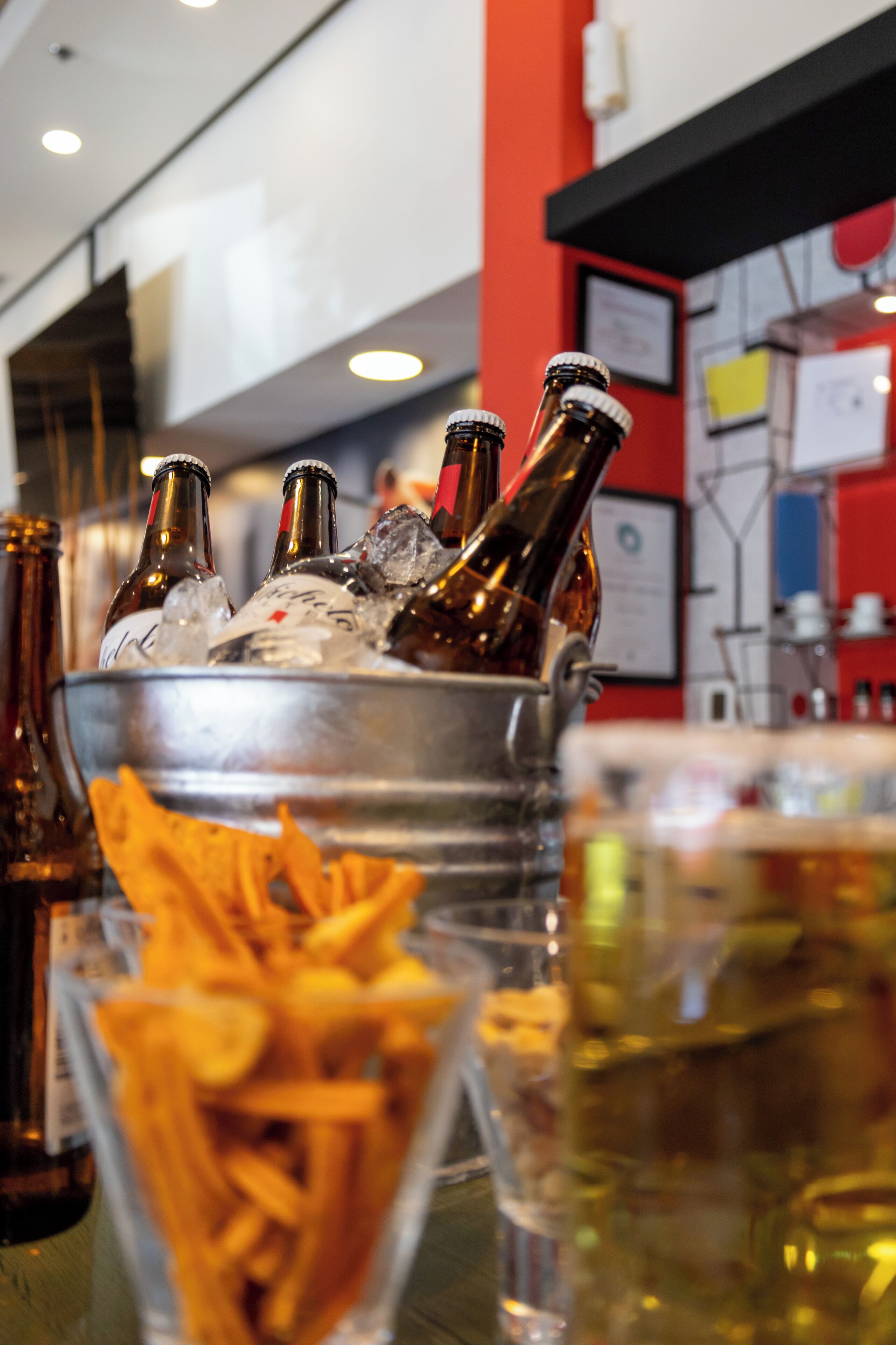 Foto - Ibis Chihuahua