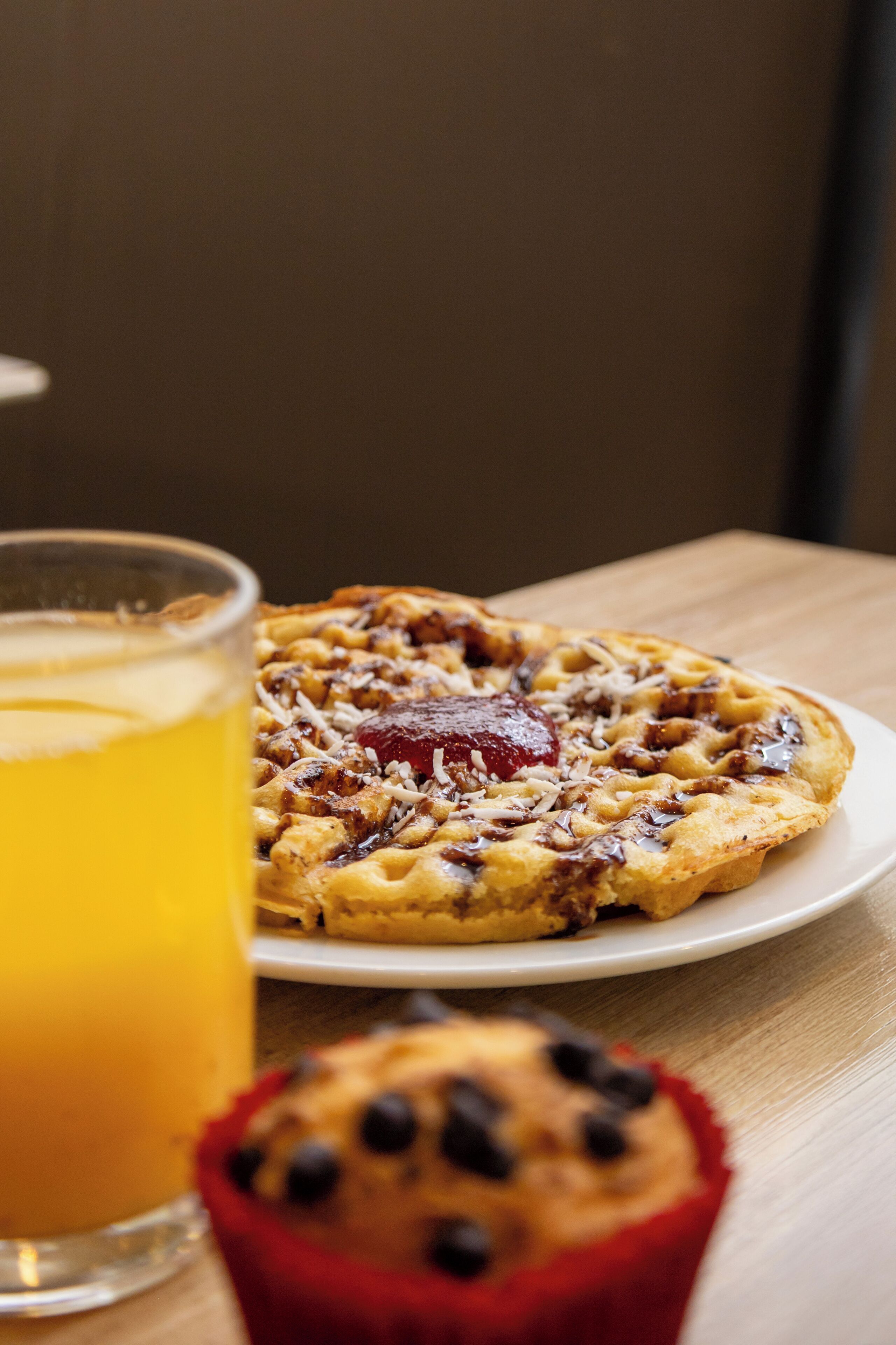 Foto - Ibis Chihuahua