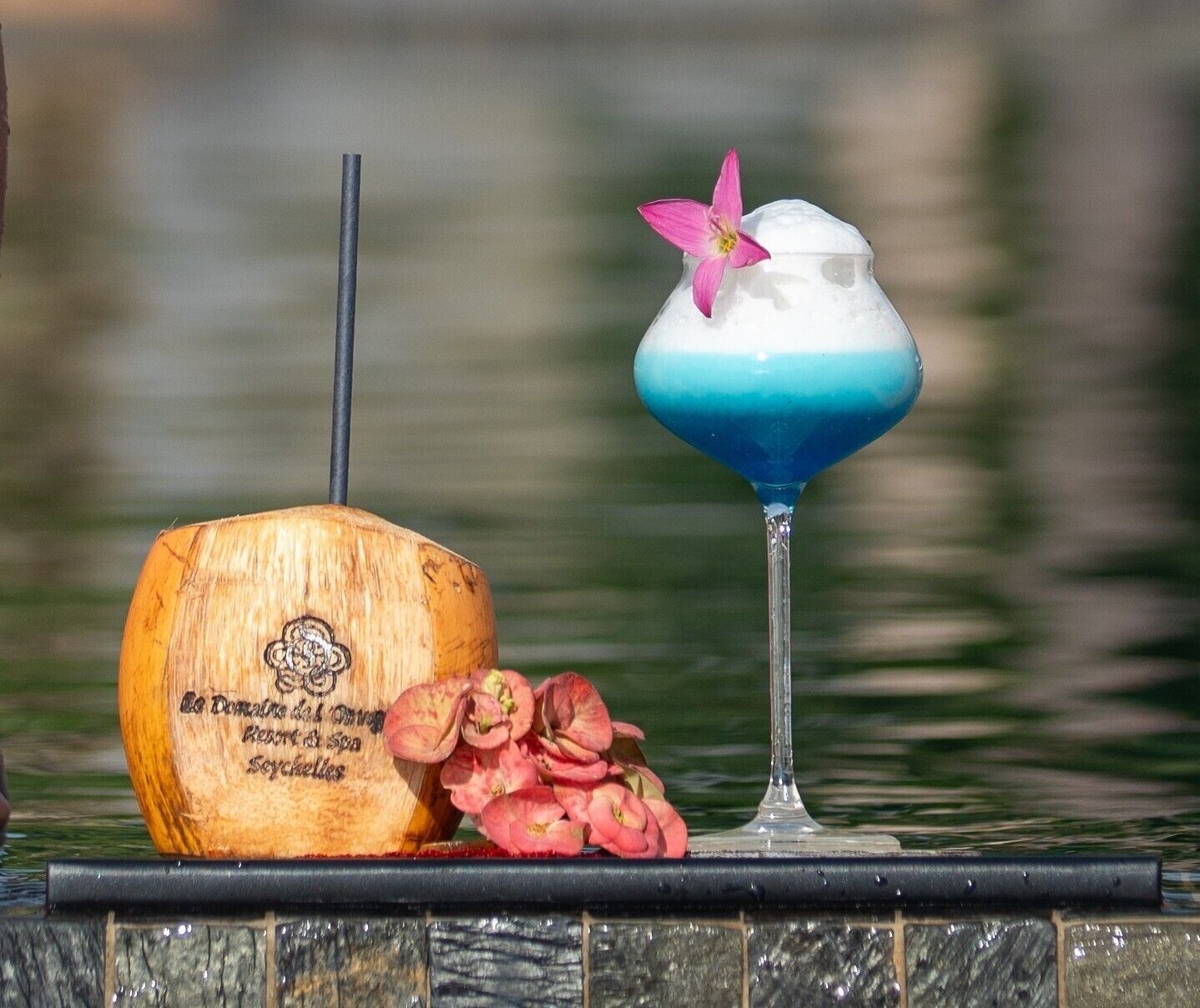 Un vaso de cóctel con un degradado azul y blanco, una decoración de flor rosa y un coco con un logotipo y texto.