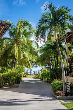 Property entrance - Castello Beach Hotel (Praslin Island)