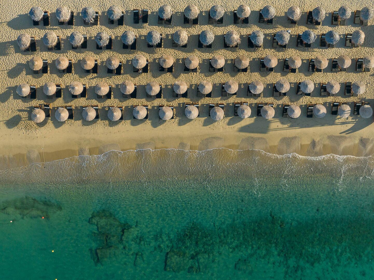 Vista aérea de una playa con filas de tumbonas y sombrillas de paja.