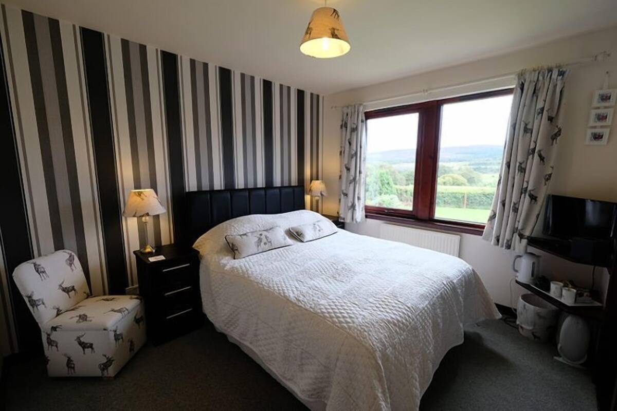 Doppelzimmer, 1 King-Bett