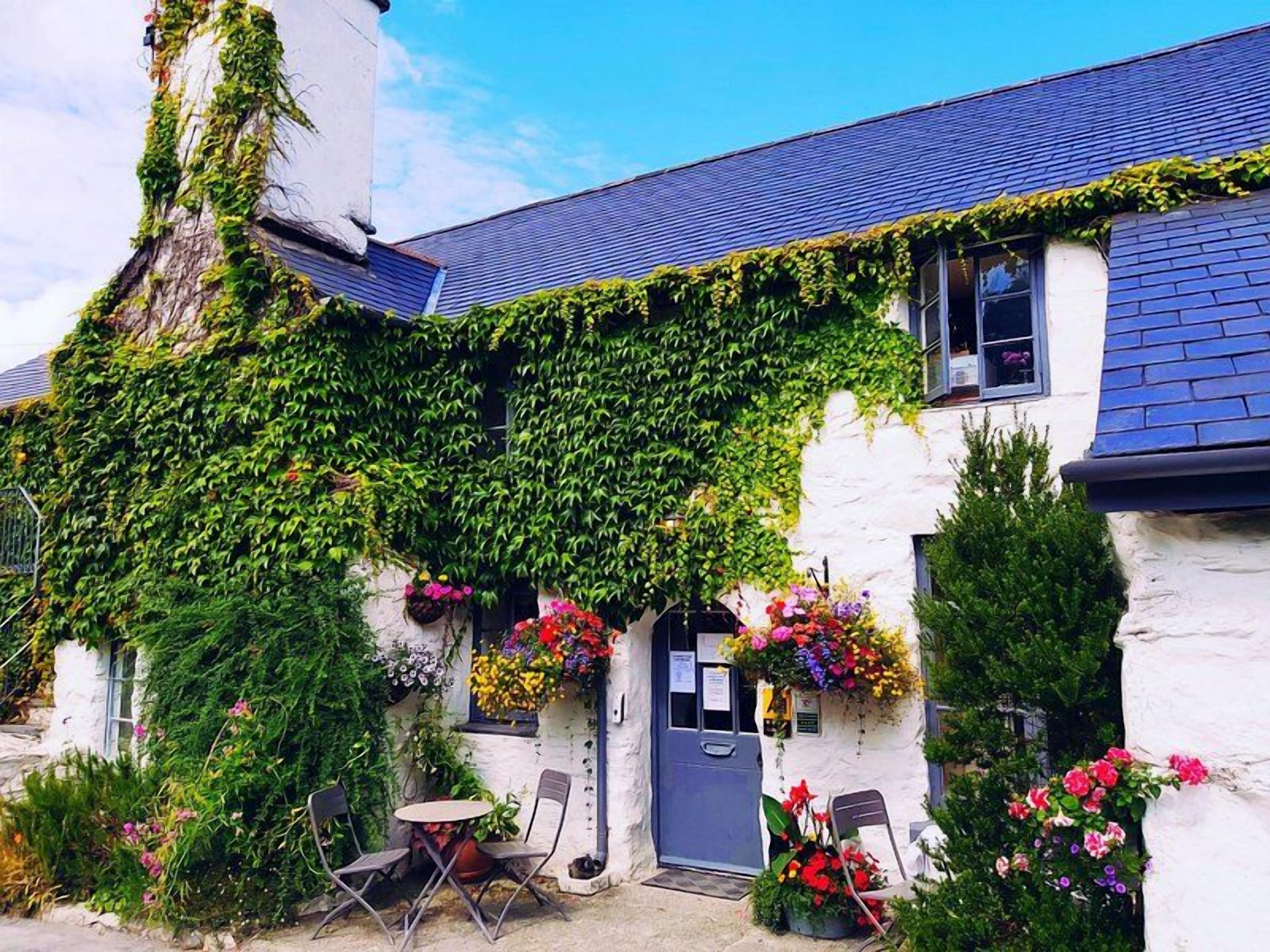 A white building with a blue roof, covered in green ivy, and a door with flower baskets.