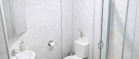 A modern bathroom with a toilet, sink, and glass shower enclosure.
