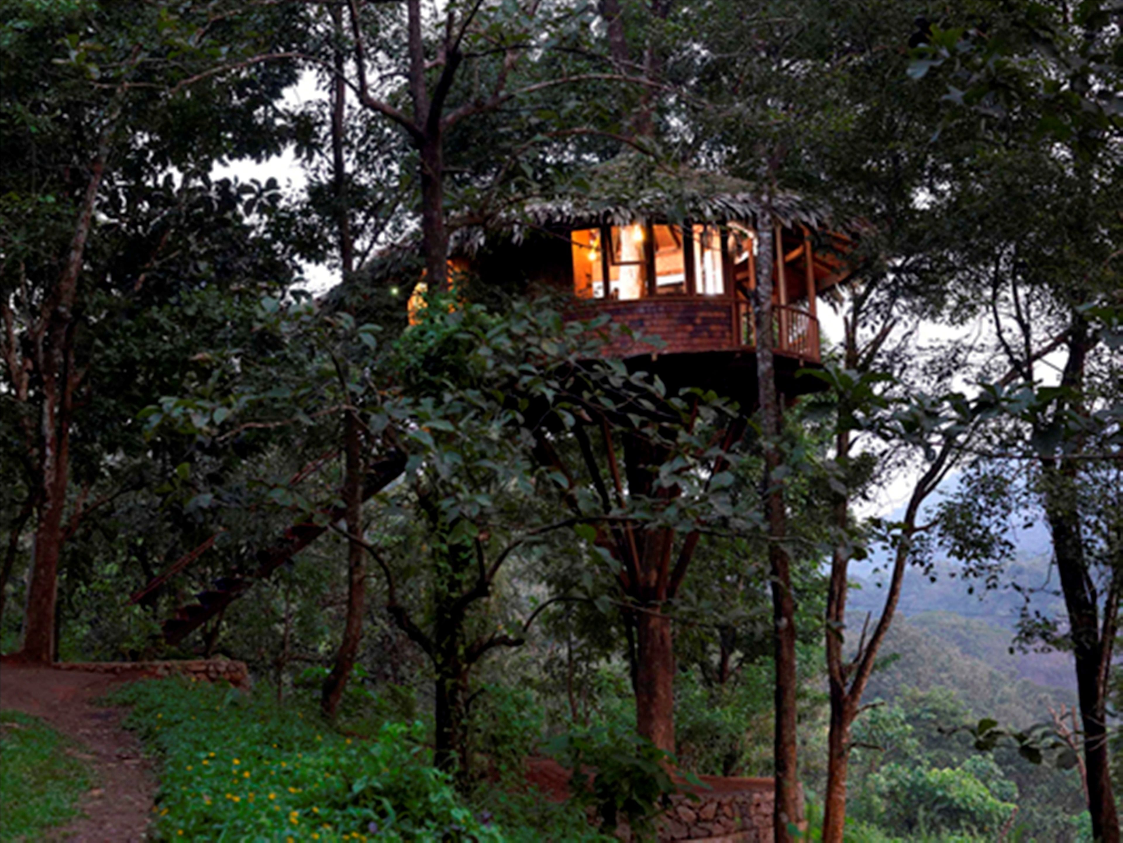 Tree House | Lake view