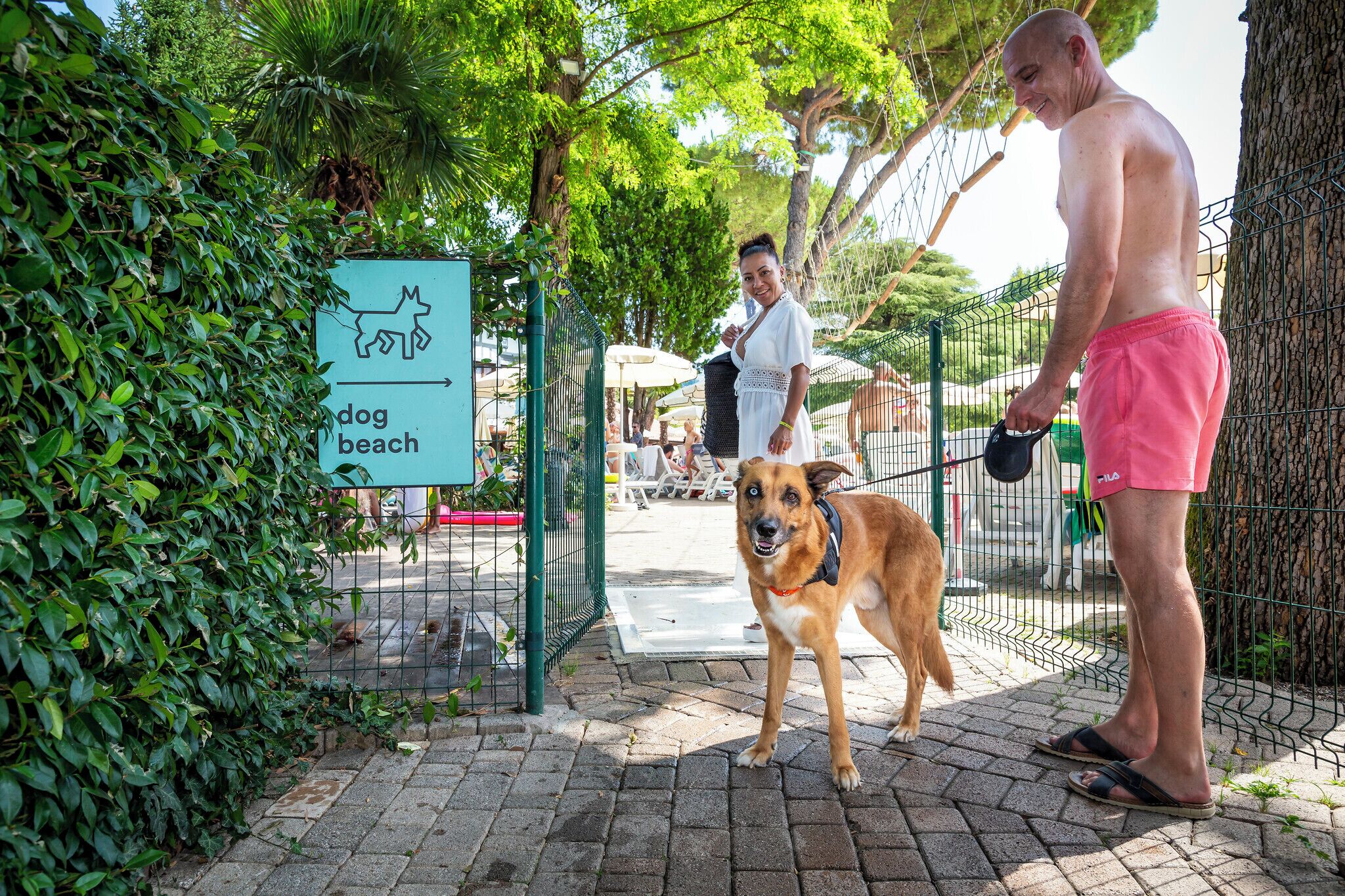 Pet-friendly
