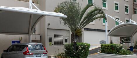 A modern building with a parking area, a covered car parking area, and a palm tree.