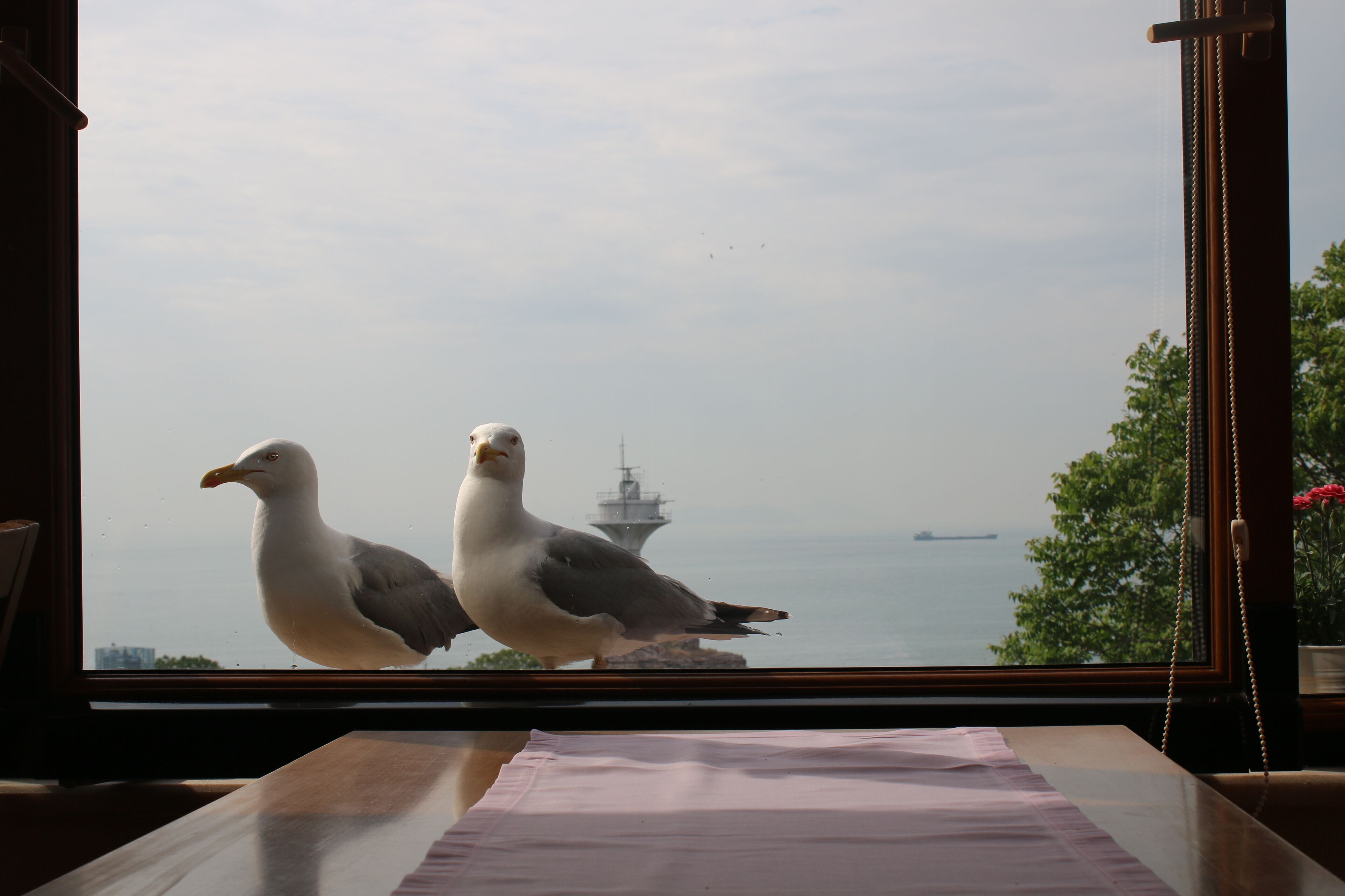 Outdoor banquet area