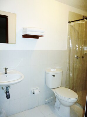 Shower, hair dryer (on request), towels