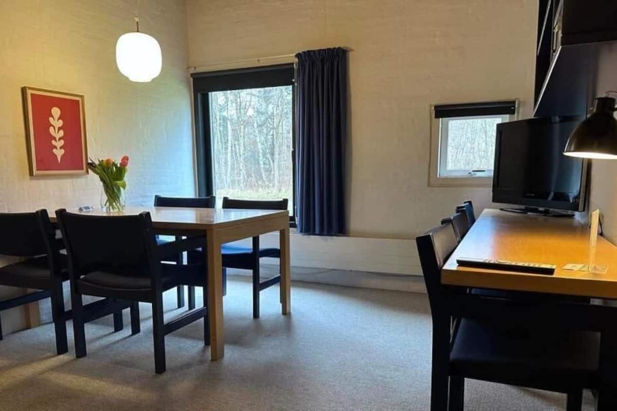 A room with a dining table, chairs, a TV, and a window with curtains.