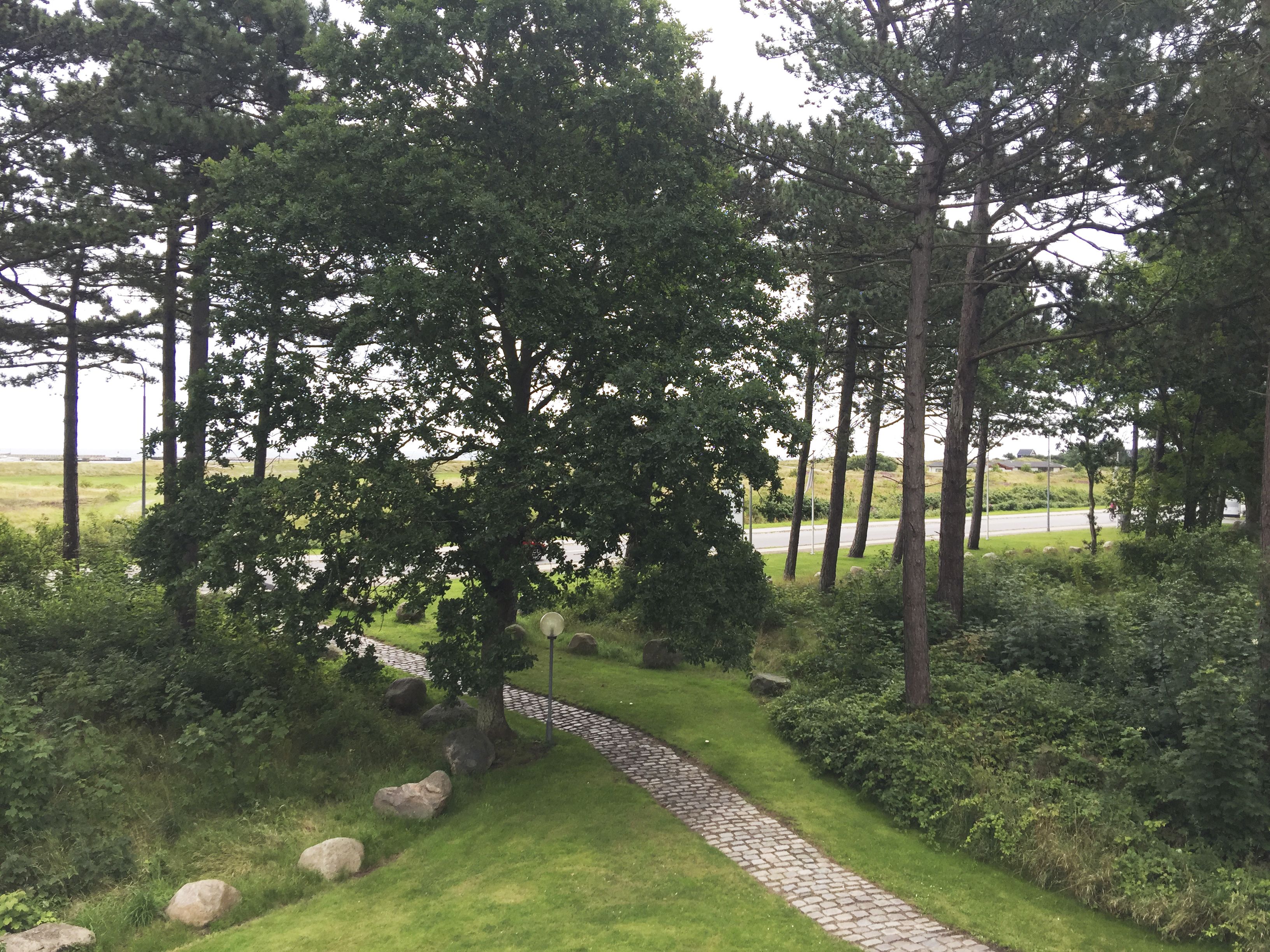 施設からの眺望