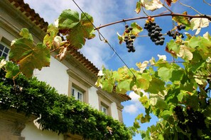 Set amidst lush greenery, this building boasts a classical facade with a red-tiled roof.