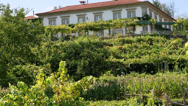 Um edifício grande e branco com telhado de telhas vermelhas, rodeado por vegetação exuberante e trepadeiras.