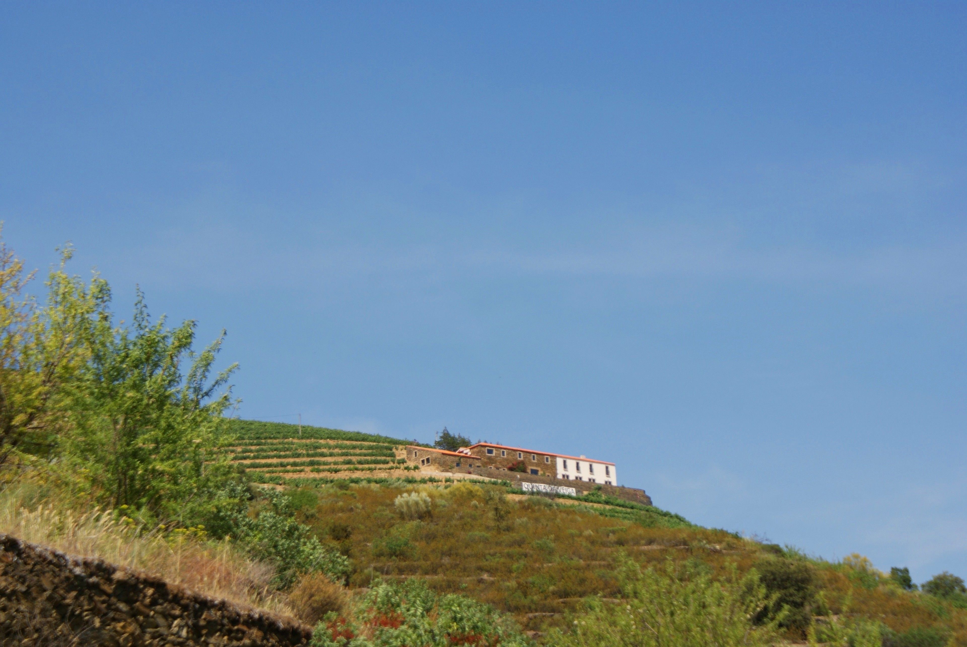 Photo - Quinta da Veiga