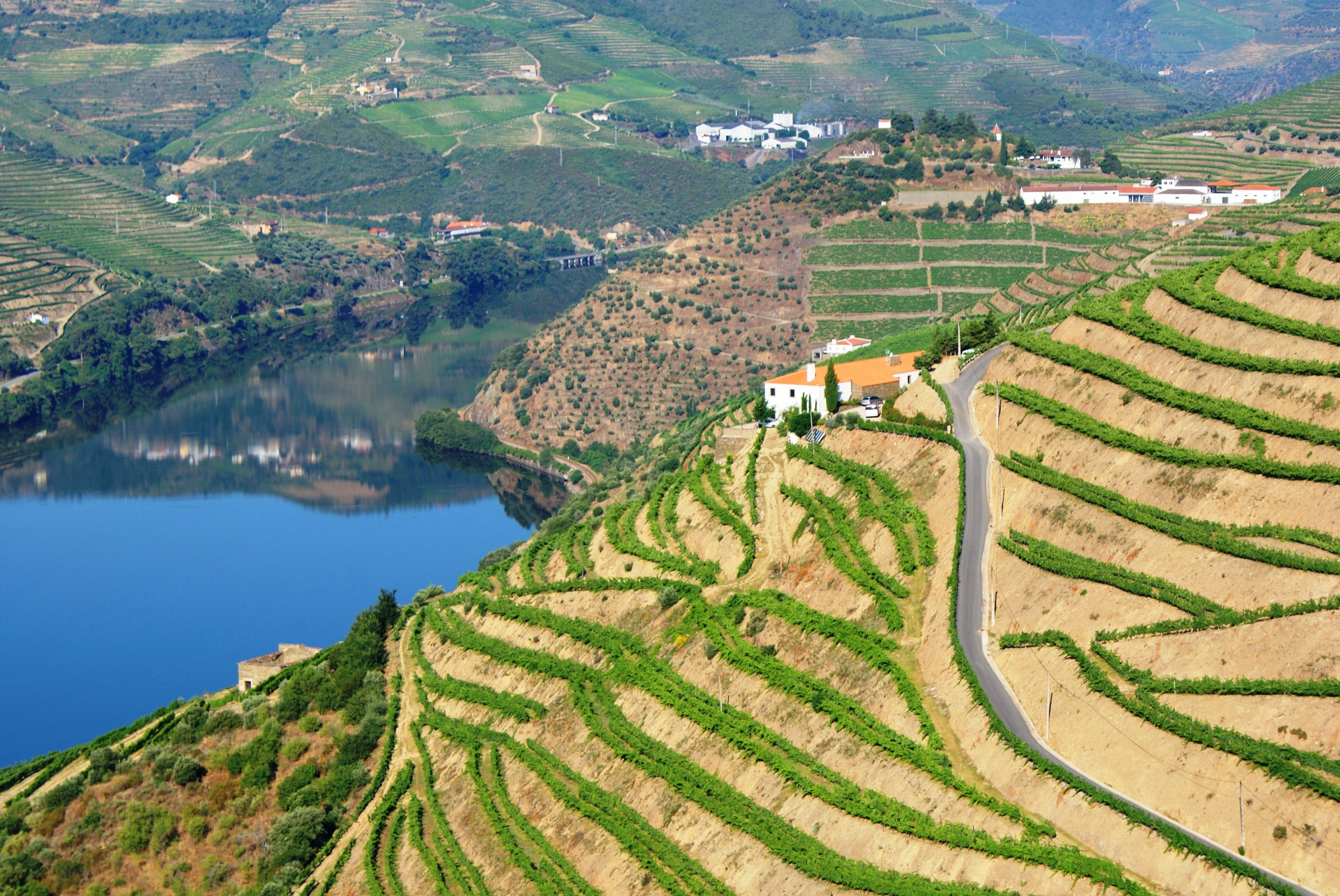 Photo - Quinta da Veiga