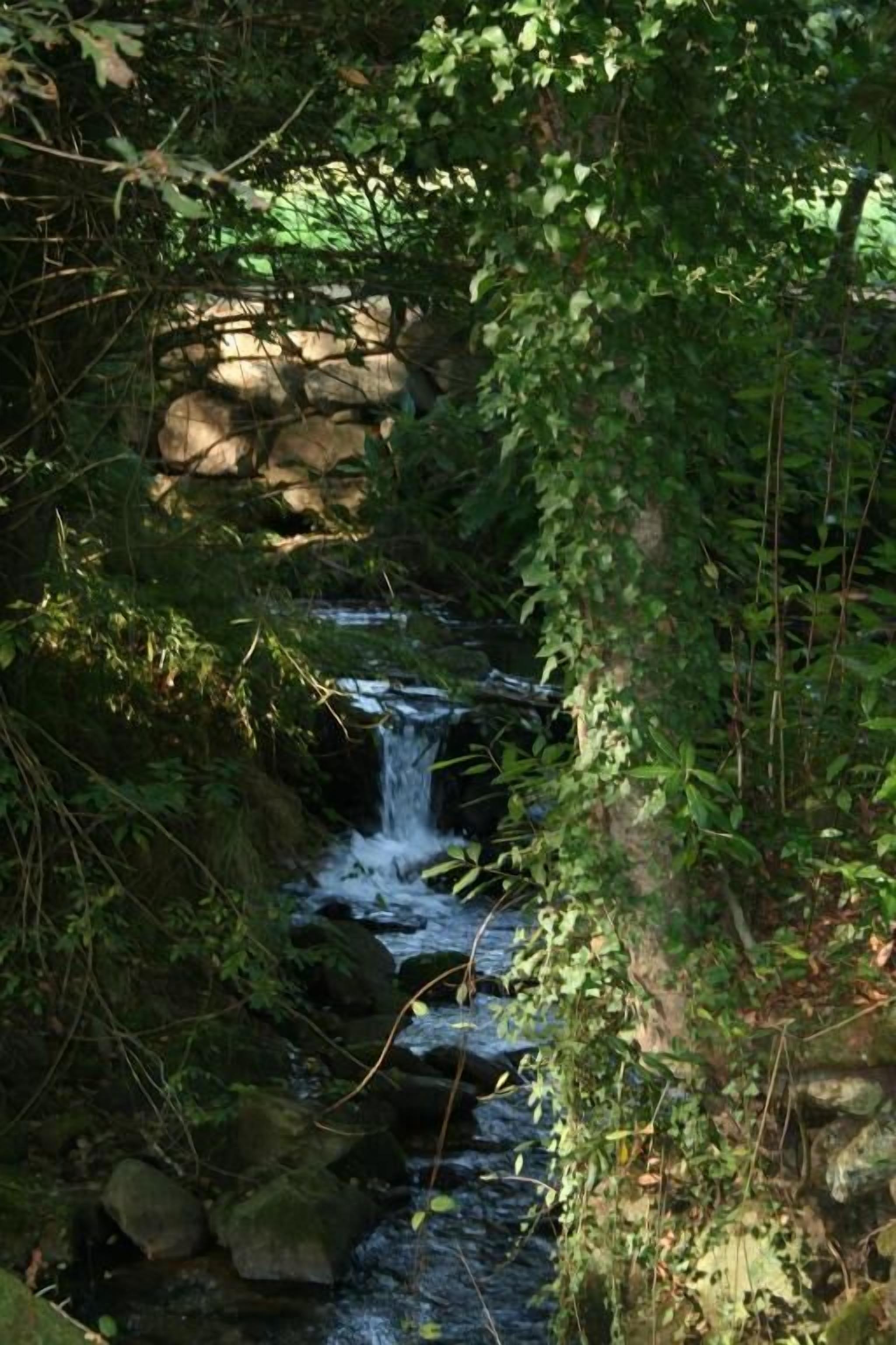 Foto - San Marcos Salnés