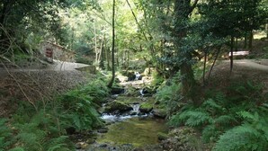 A serene forest stream with a small waterfall, surrounded by lush greenery and a rustic stone building. - San Marcos (Cambados)
