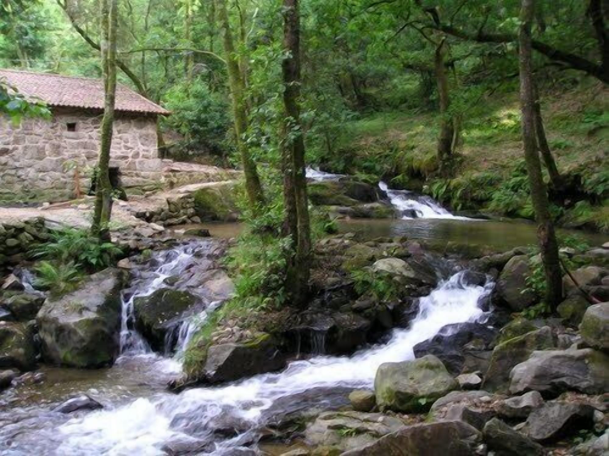 Foto - San Marcos Salnés