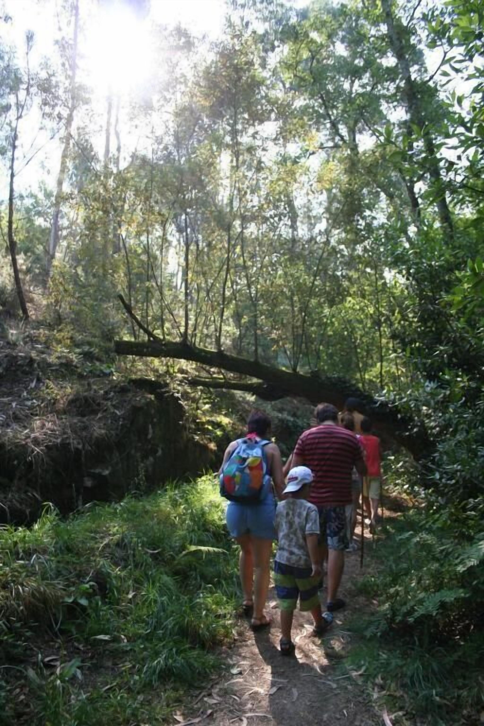 Foto - San Marcos Salnés
