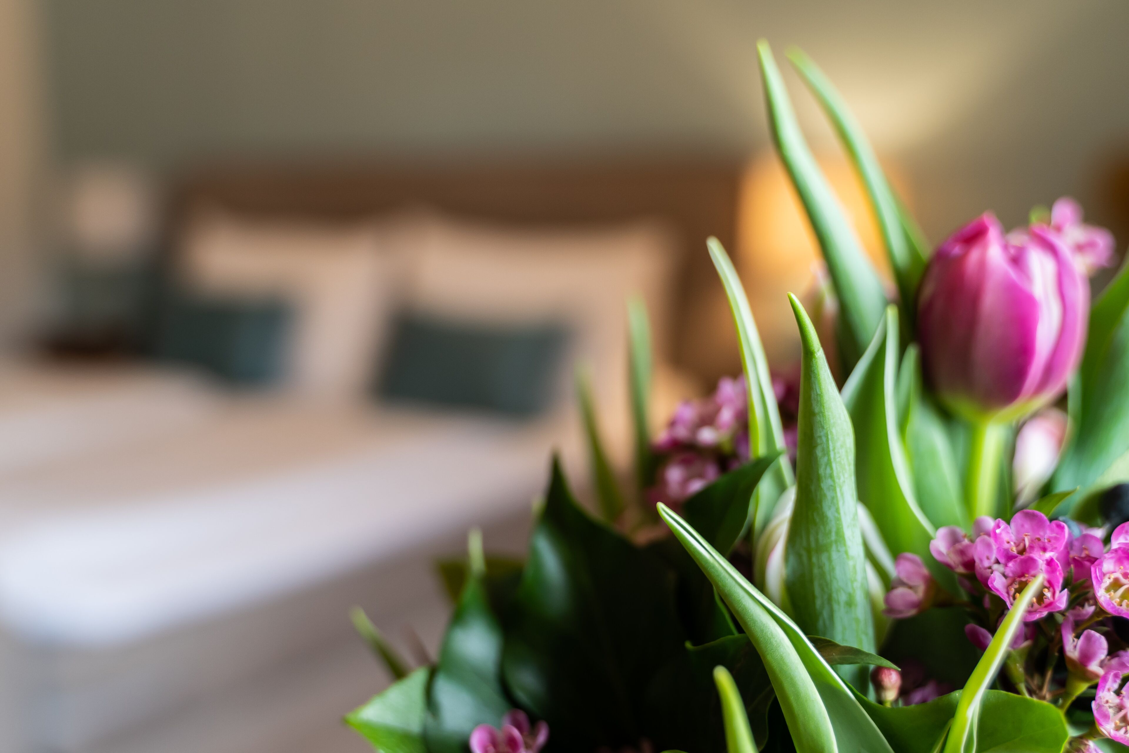 Un ramo de flores con hojas verdes y delicadas flores rosadas en una habitación con fondo desenfocado.
