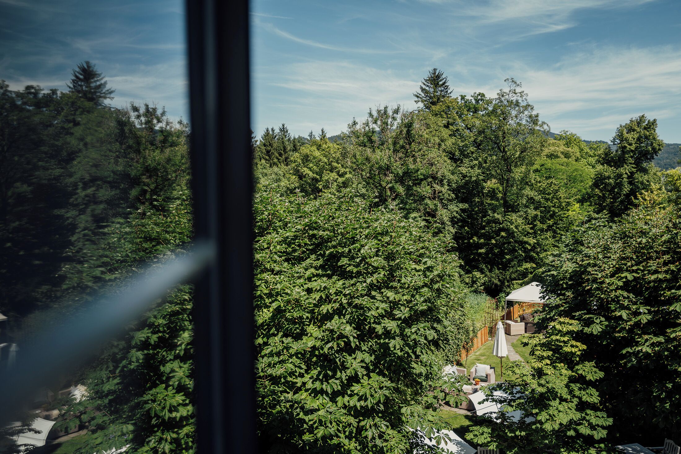 A lush green forested area with a building that has a white roof and a pathway leading to it.