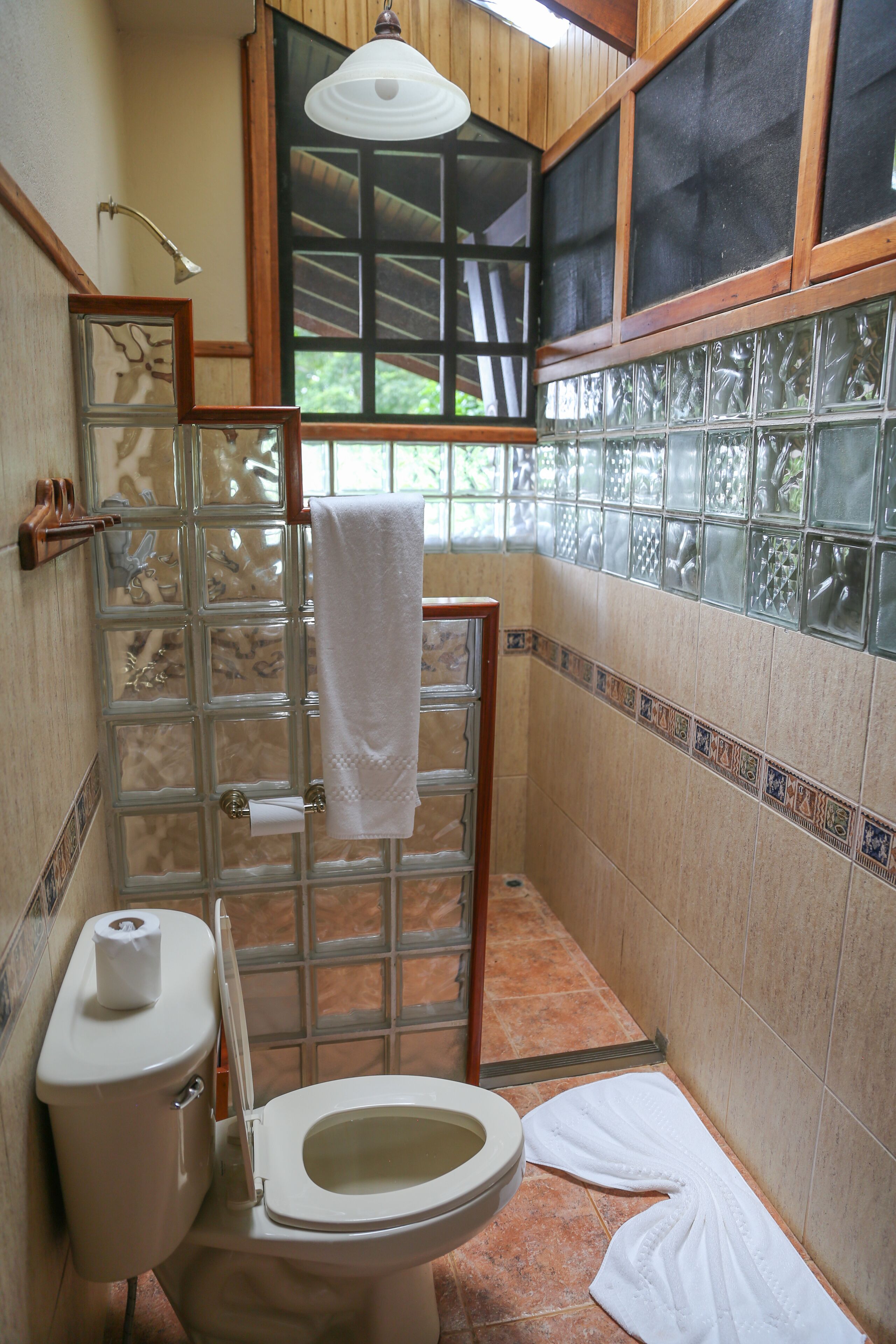 shower, rainfall showerhead, free toiletries, hair dryer