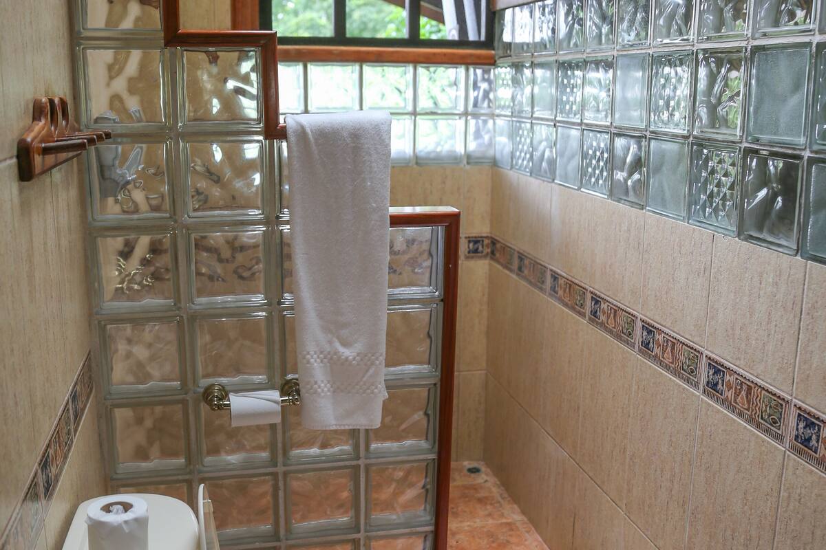 shower, rainfall showerhead, free toiletries, hair dryer