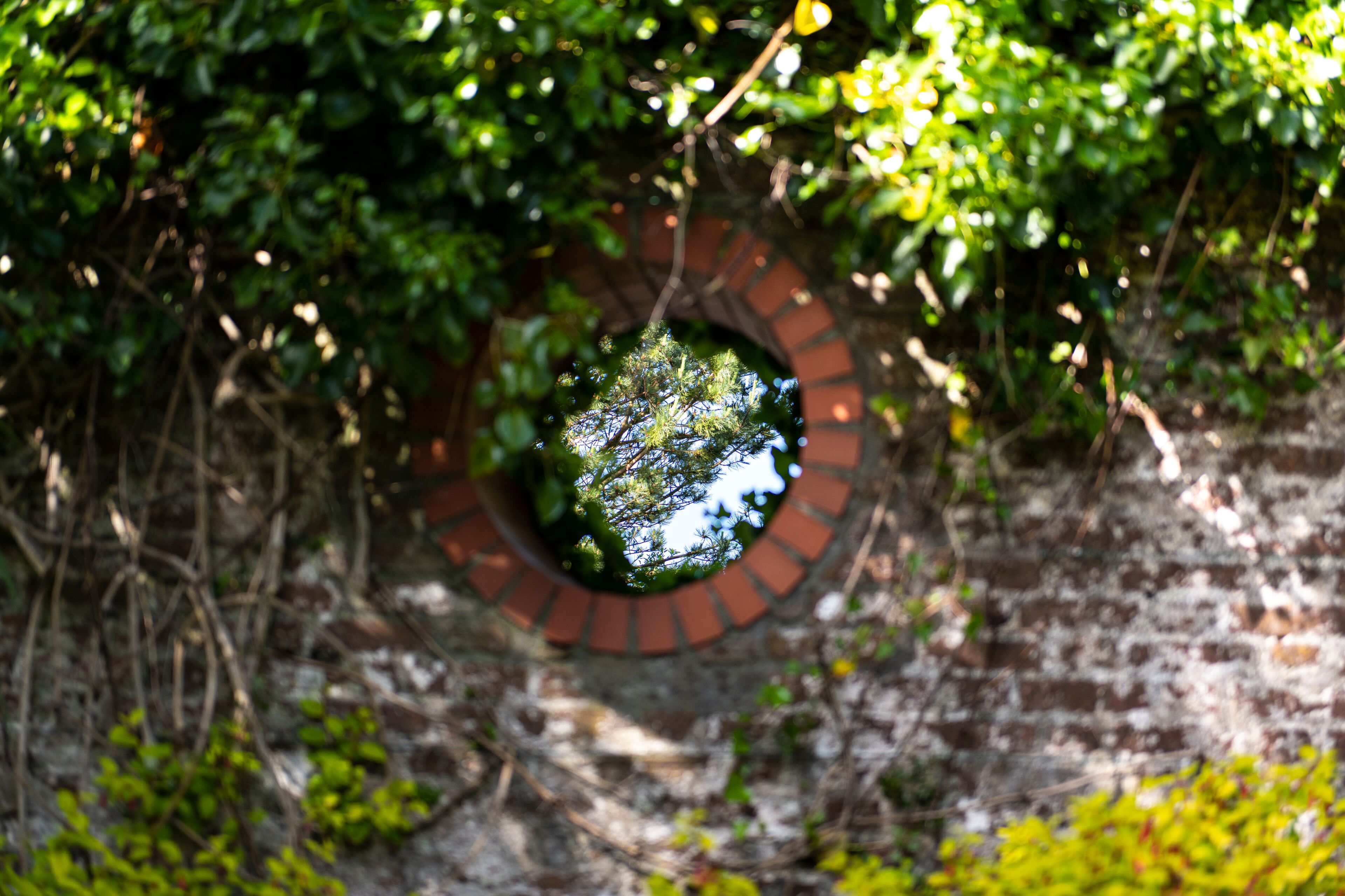A circular brick structure surrounded by greenery.