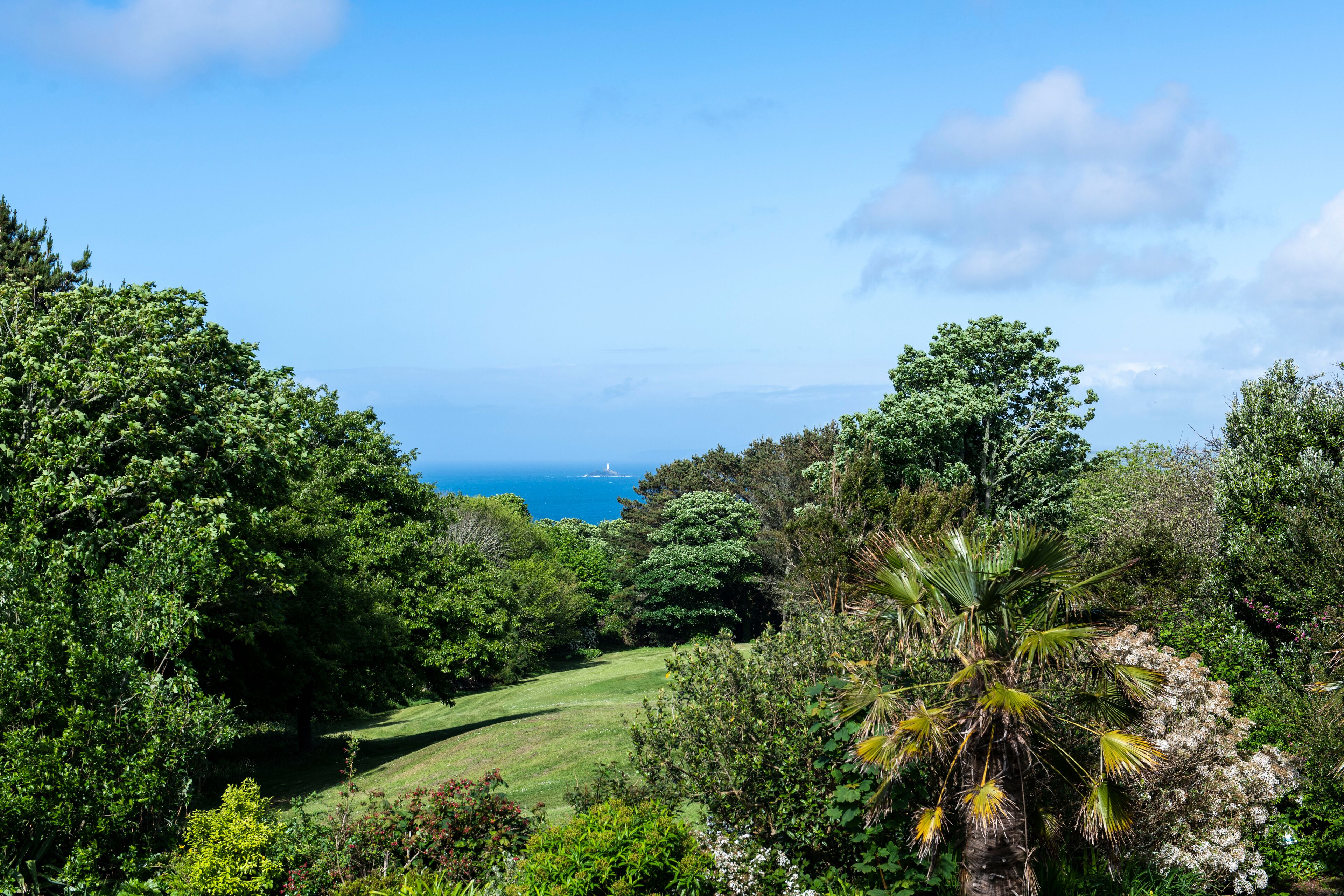A lush landscape with dense greenery, a clear sky, and a distant view of the ocean.