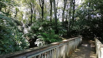 Un sendero de madera en un área boscosa con follaje denso y árboles.