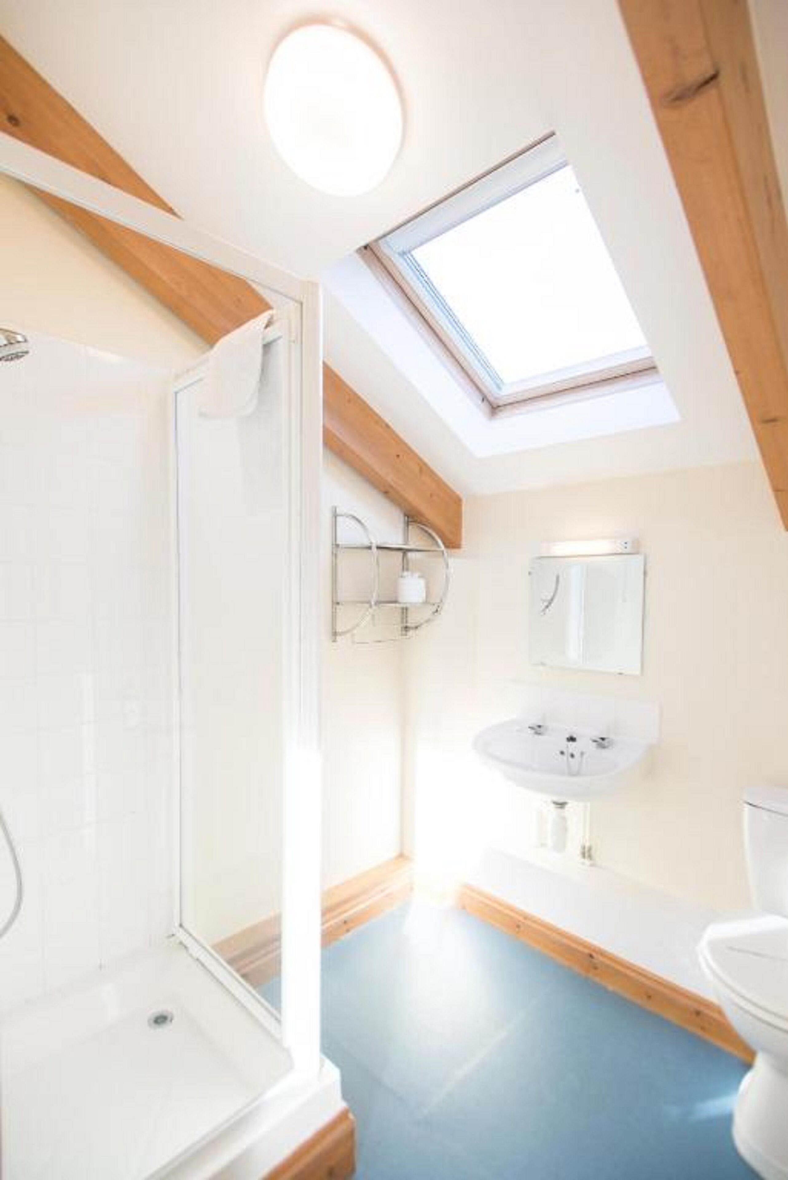 A modern bathroom with a skylight, a shower, a sink, and a toilet.