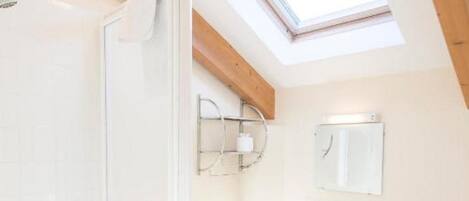 A modern bathroom with a skylight, a shower, a sink, and a toilet.