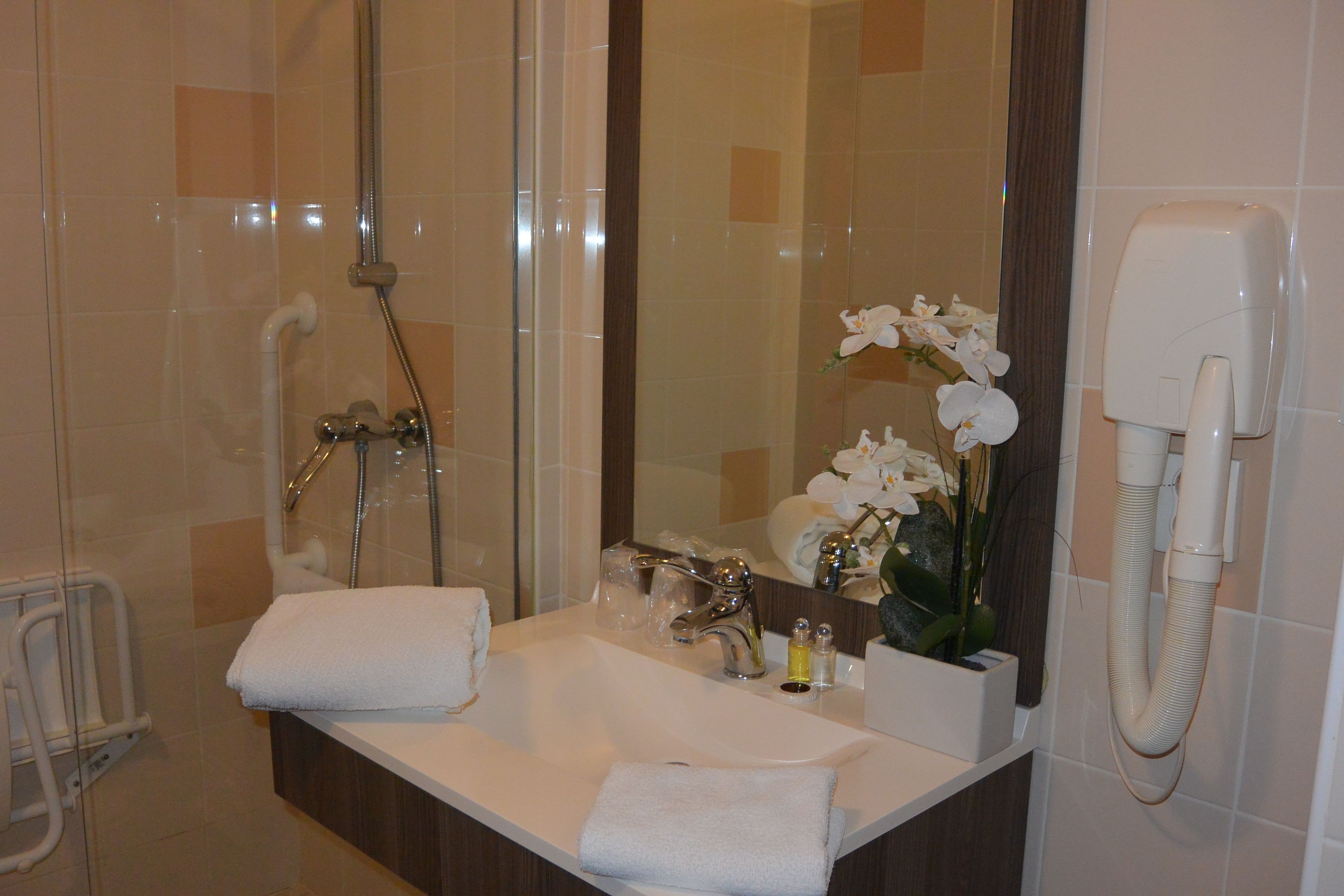 combined shower/bathtub, free toiletries, hair dryer, towels