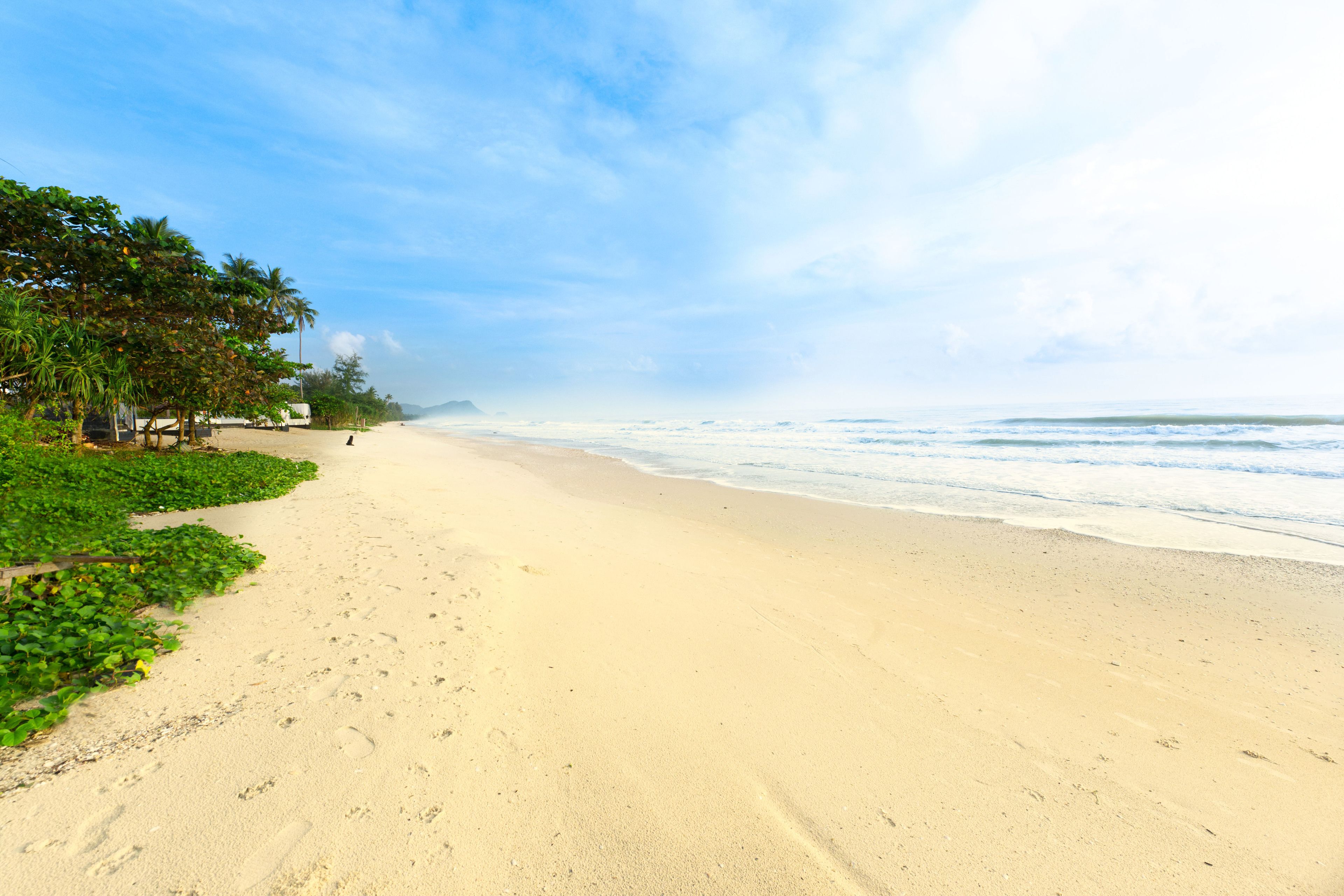 A wide sandy beach with footprints, palm trees, and a clear sky.