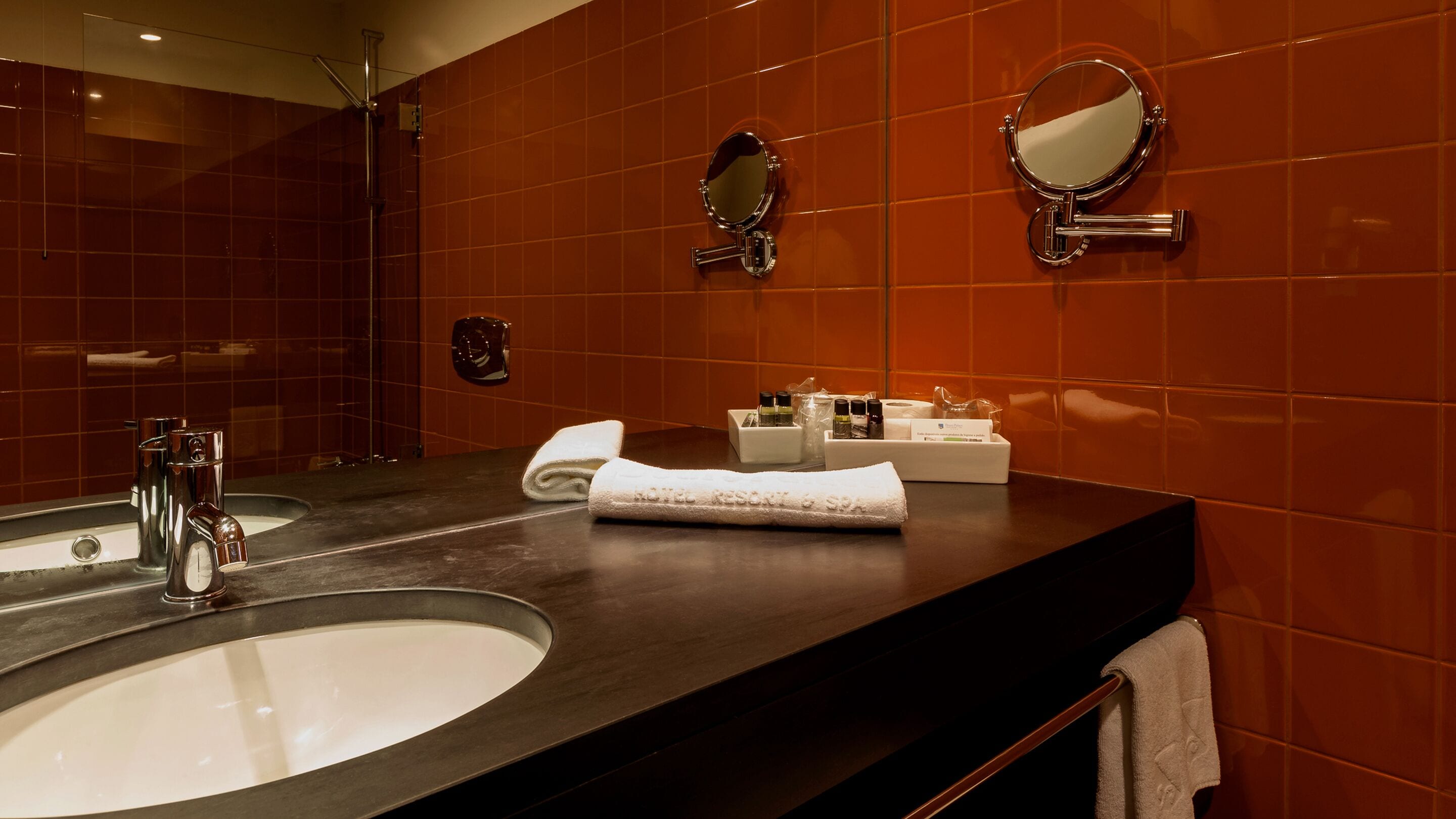 combined shower/bathtub, free toiletries, hair dryer, bathrobes