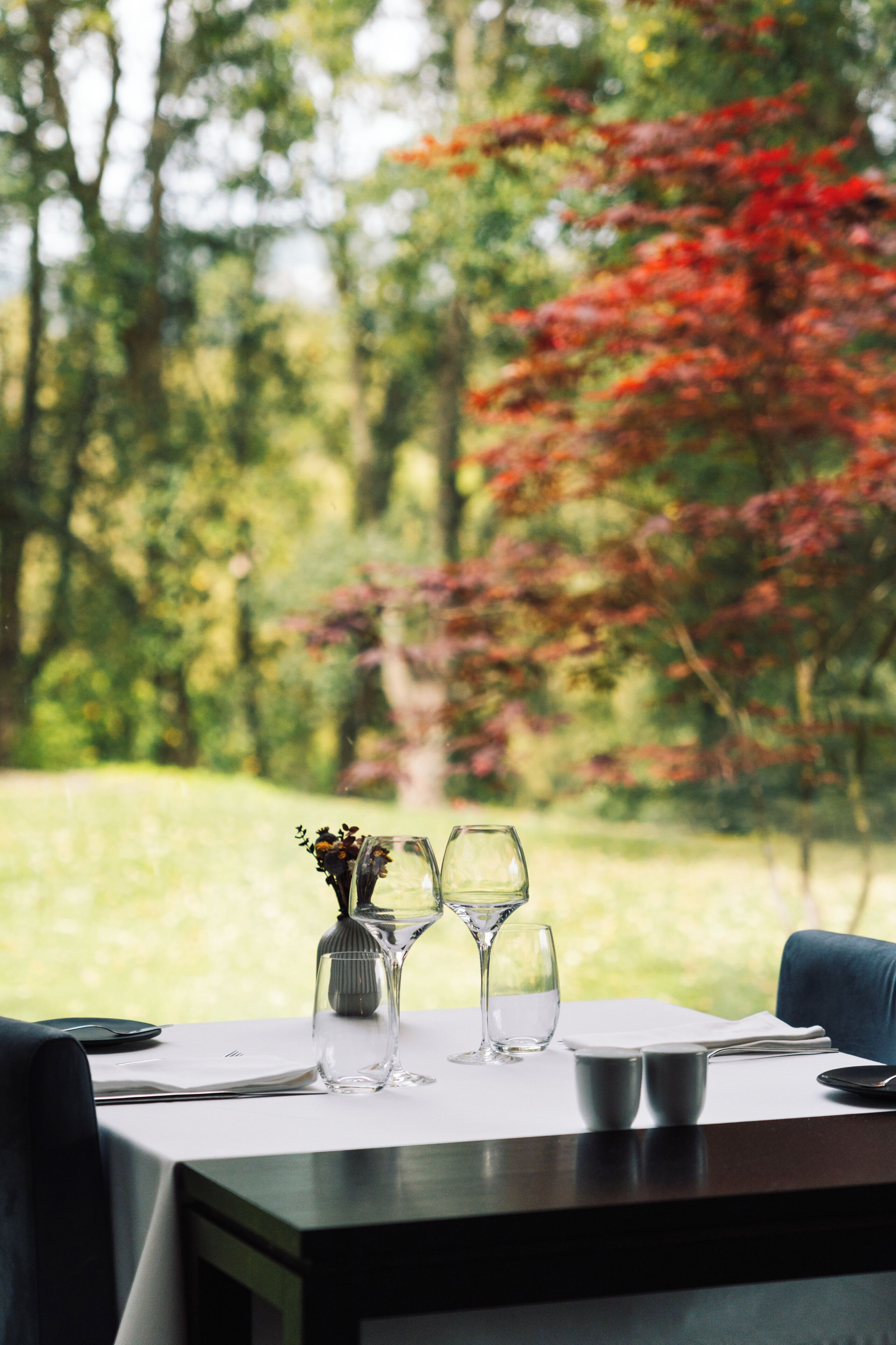 A dining table with a vase, two wine glasses, and a cup, set against a backdrop of trees and a grassy area.