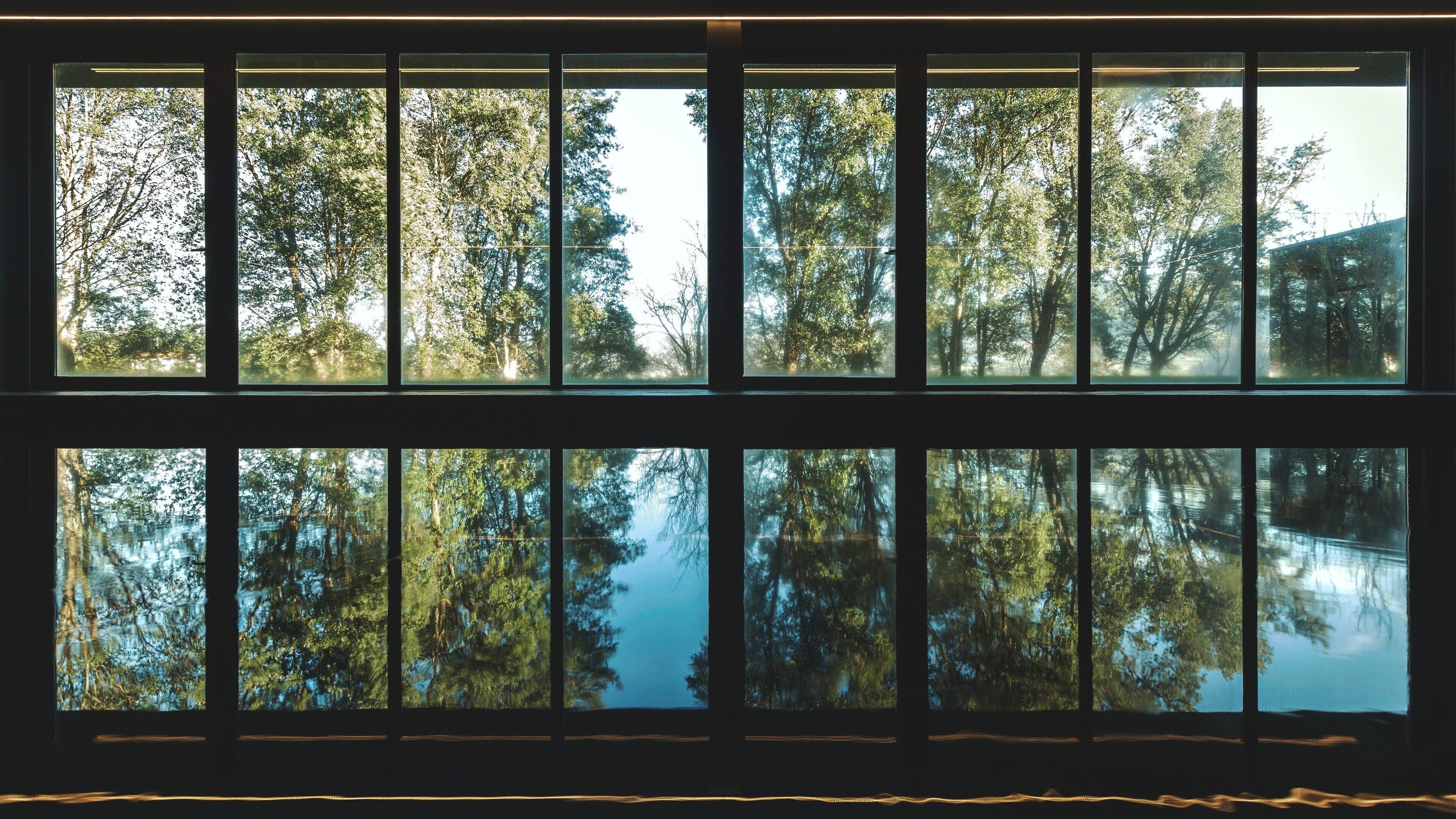 couples treatment room(s), sauna, turkish bath/hammam, body treatments