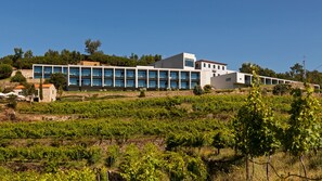 Exterior - Douro Palace Hotel Resort and Spa (Baiao)