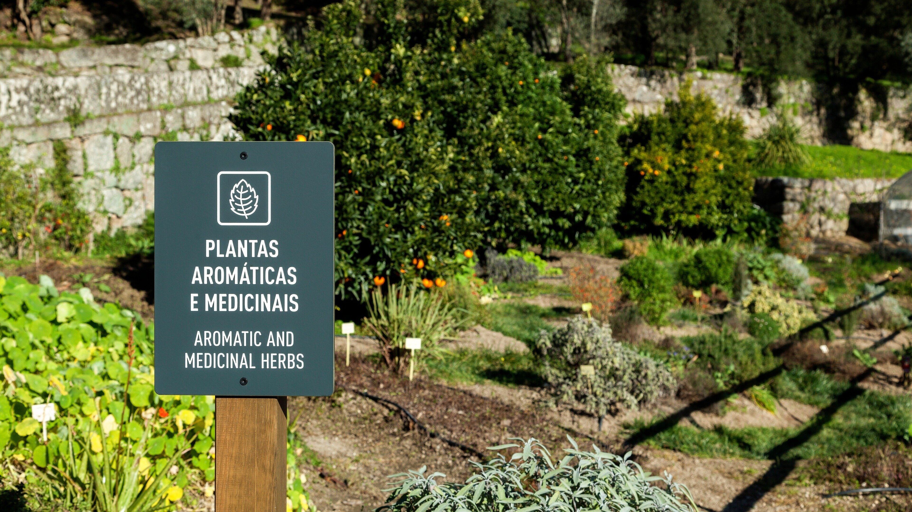 Foto - Douro Palace Hotel Resort & SPA