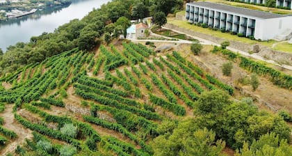 Douro Palace Hotel Resort and Spa