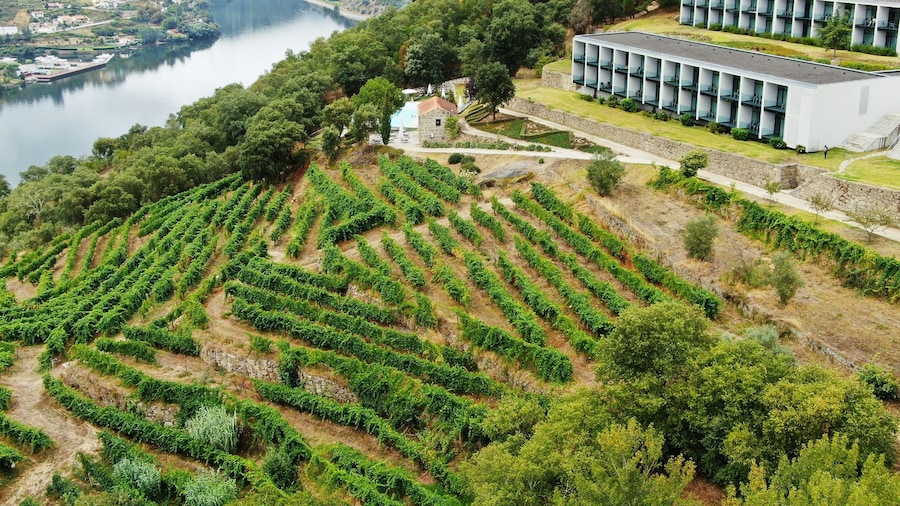 Douro Palace Hotel Resort and Spa