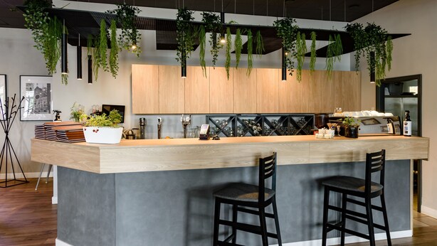Una cocina moderna con una isla central, taburetes de bar, plantas colgantes y una pared de acento de madera.